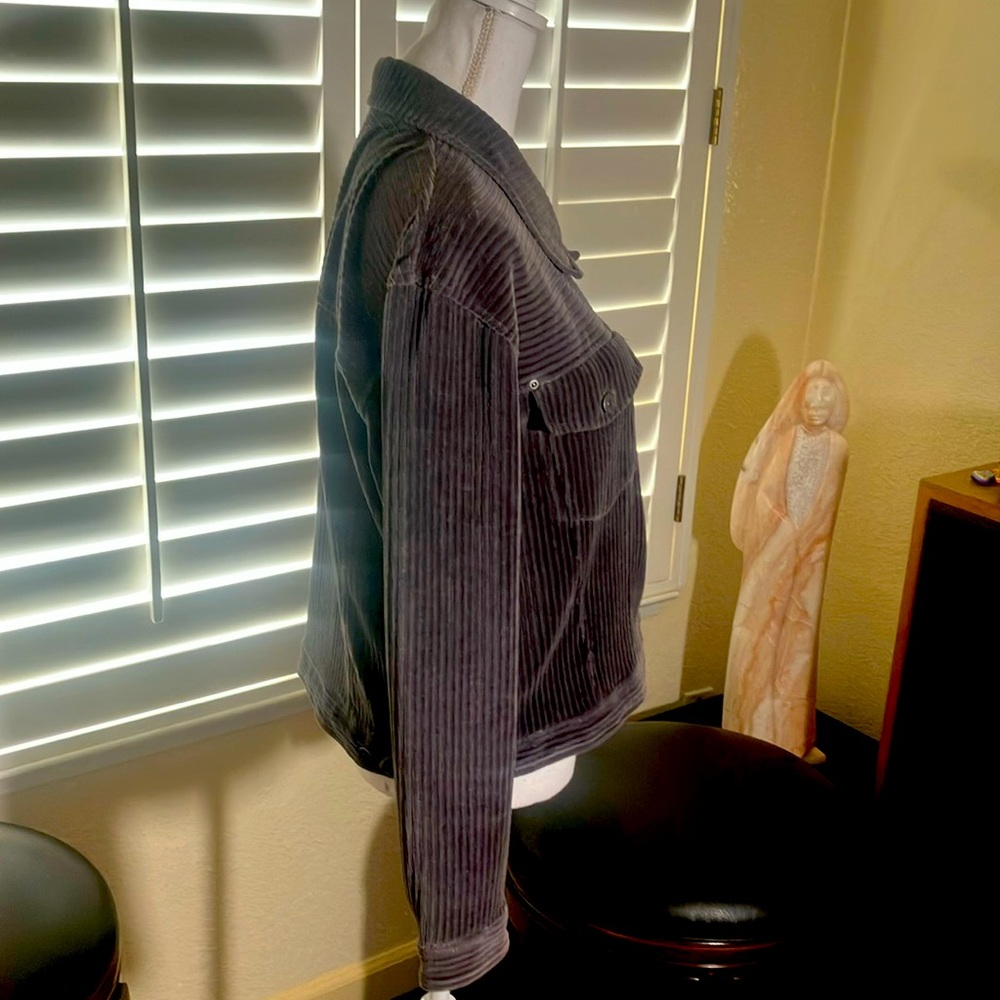 🩶🧥Carol Little Sport Gray Ribbed Stretch Cotton/Poly Button Front Jacket Sz M - Picture 2 of 7